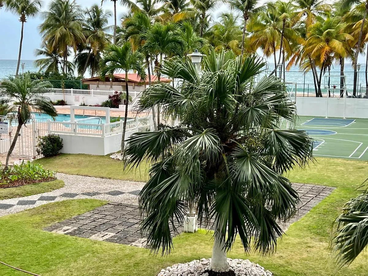 Hobie Oceanfront Apartment At Isla Verde San Juan